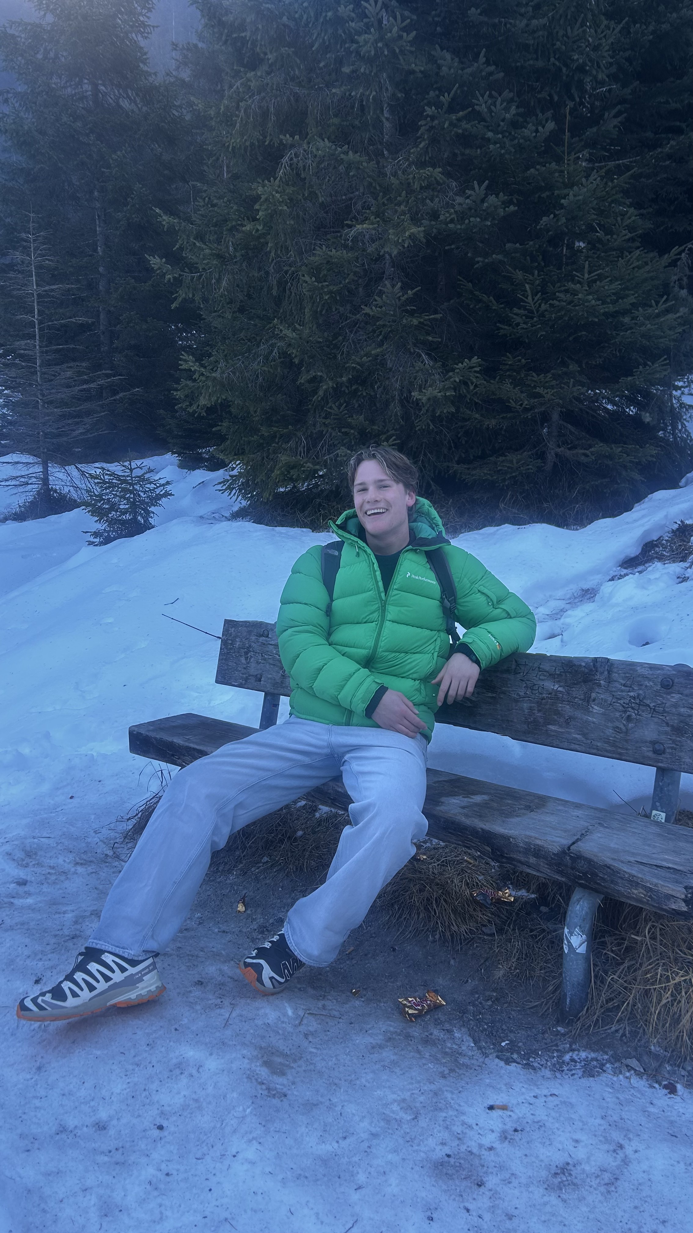 Winter in the Alps